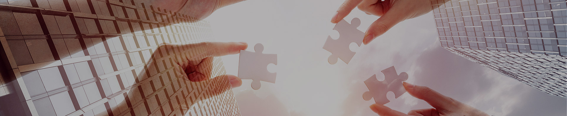 VSport-胜利（天津）岩矿检测有限公司